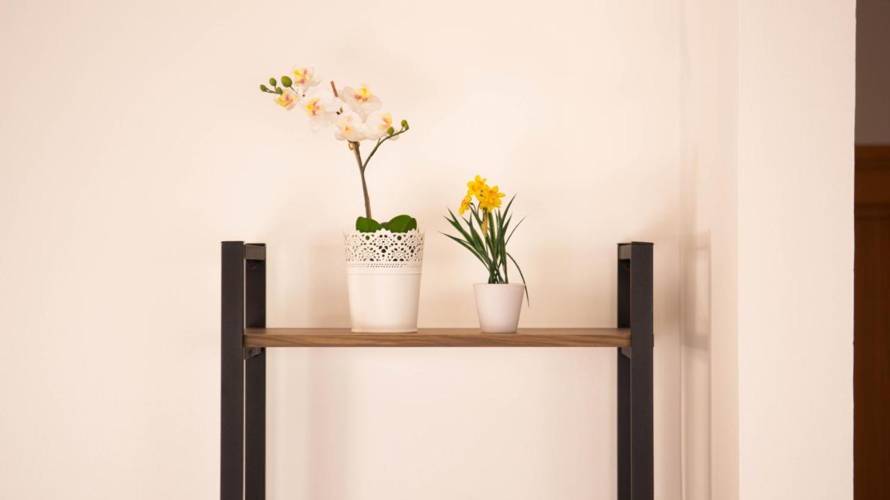 사라예보 Beautiful Duplex In Heart Of Old Town - Free Parking 아파트 외부 사진